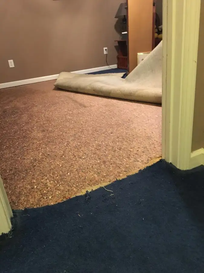 Carpet pad removal revealing water damage during Water Mitigation Services in New Gloucester