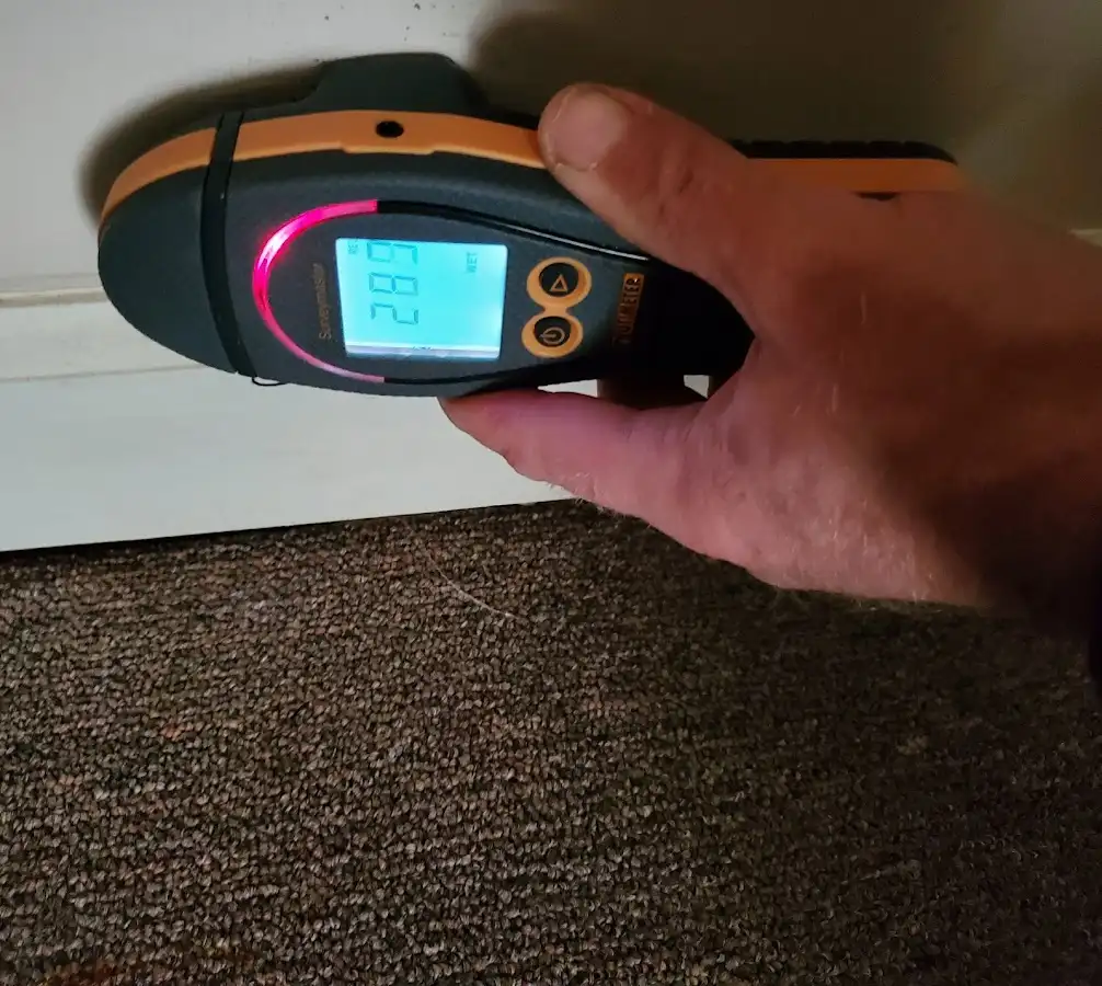 Moisture detection at baseboard during Sewage Cleanup & Sanitation in New Gloucester